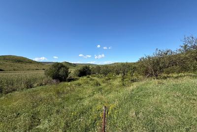 Teren de vanzare extravilan la intrare in Pata 800mp+200mp drum - 3