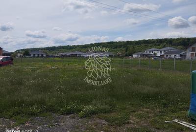 Teren intravilan 800 mp cu utilitati-ideal casa-Unirea - 1