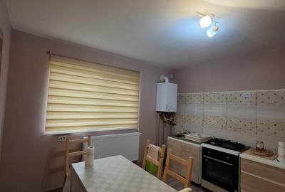 Comision 0 - Casa de vanzare in Carani, Jud. Timis, utilitati complete - 9