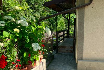 Casa  cu parau la limita proprietatii- zona submontana - 6