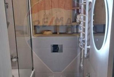 Apartament 2 cam de inchiriat Parcului - 12