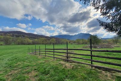 Teren Construcții intravilan de 1000 mp, în Cheile Râșnoavei