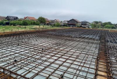 Individuala Parter Becicherecu Mic, Zona Semicentrala,4 Camere,Teren 800 mp - 17