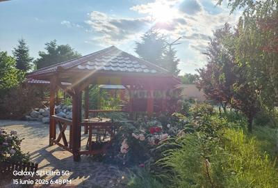 VANZARE CASA OASPETI + ANEXE IN  SAT TEISORI (JUD. GIURGIU) - 36