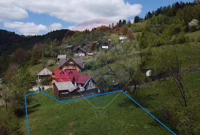 Teren 1349 mp Scărișoara – lângă DN75 - 7