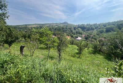 Teren intravilan de vanzare in Metes - Ampoita - 1