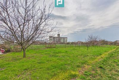 Casă spațioasă în Sântana - 32