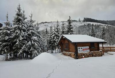 1140mp si cabana Obarsia Lotrului Transalplina 3km partia ski, TOATE UTILITATILE - 3