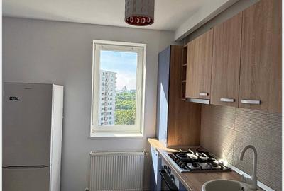 Inchiriere Studio Tineretului The Park - 6