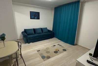 Dristor Metrou 4Min,Camil Ressu,Drumul Murgului,ParkLake,renovata,C Anaf - 1