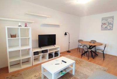 Dristor - Baba Novac 2 camere mobilat modern - 2