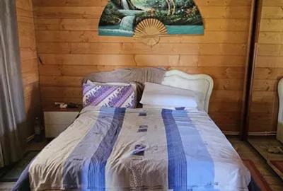 HORIA - 3 CAMERE ,SUPRAFATA 100 MP,TEREN 3000 MP CU DESCHIDERE LA LAC - 8