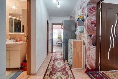 Casă / Vilă cu 6 camere de vânzare în zona Bartolomeu - 29