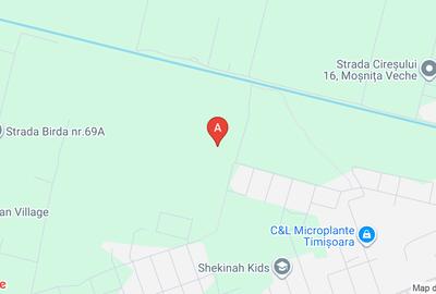 Teren Mosnita Veche langa Serena 3 - 1