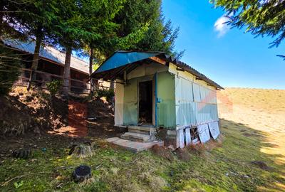 Proprietar | Teren Panoramic+PUZ + Cabana | Drumul Paltinisului |746mp - 8