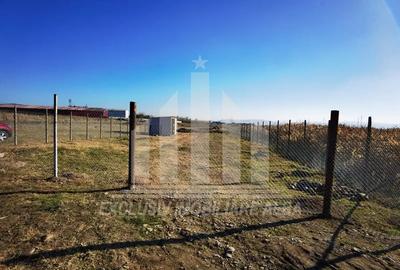 Teren intravilan | 1800 mp | 14 ml deschidere | Alba-Micesti - 2