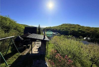 Vand teren intravilan, 2566 mp in Corunca situat intr-o zona linistita si intima - 5