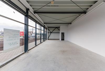 Spatii comerciale de inchiriat in noua Galerie Senso Lake – Dumbravita - 6