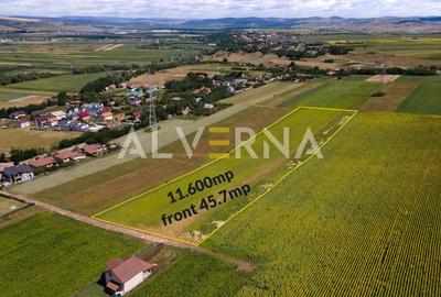 INVESTITIE! Teren constructii 11.600 mp | front 45.7m | Jucu de Sus - 1