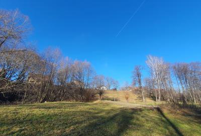 Teren rezidential zona Bran Predelut zona de case si pensiuni - 4