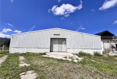 Hala de 918 mp utili si teren de 2400 mp cu acces de tir in Talmaciu - 5