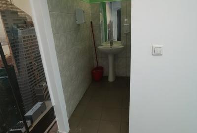 Hala Lugojului 1800 euro+TVA - 9