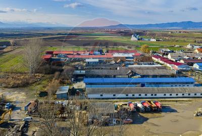 De închiriat spațiu pentru depozitare 300mp + curte 650mp Feldioara - 14
