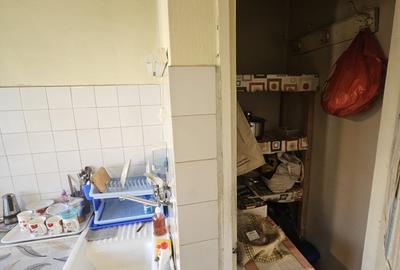 Aparitie rara! Apartament 3 camere, langa Somes, cartier Grigorescu! - 7