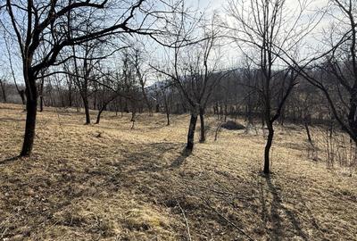 Teren intravilan 2788 mp deschidere 55 ml cu vedere panoramica ! - 4