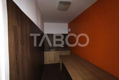 Hala industriala de vanzare cu teren de 12000 mp Bradu Sibiu - 10
