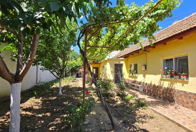 Coiciu - Casa 5 camere (constructie mixta ) + teren 345 mp - 1