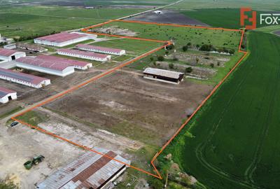 Teren intravilan cu suprafata de 58.340 mp, in Sanmartinul Sarbesc - 3