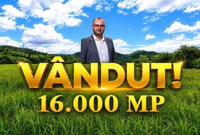 Teren agricol extravilan de 16000 mp, în Borlovenii Noi
