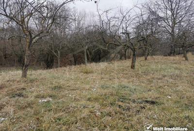 Ocazie! Teren intravilan cu utilități  in Aiton la 30 min. de centru Cluj-Napoca - 13