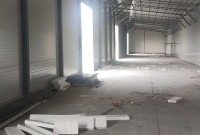 Hala noua 600 mp Giurgiului ( Progresul ) - 6