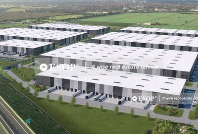 VGP Park Arad, parc industrial in curs de dezvoltare, 2.000-45.000mp - 4