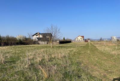 Teren intravilan de vanzare - Harman - 1000 mp - 6