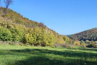 Teren de vanzare, 20.000Mp , Comuna Danes, drumul Crisului - 7