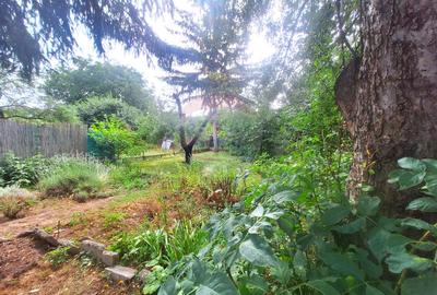 Casa cu gradina superba - o oaza verde in Sibiu - 1