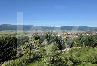 Apartament 3 camere, două băi, terasa 7 mp.-Natura la tine acasă! Cristian-SiBiU - 25