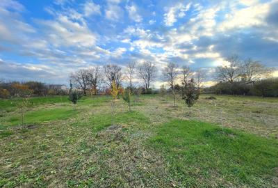 Teren Construcții intravilan de 2200 mp, în Pâclișa