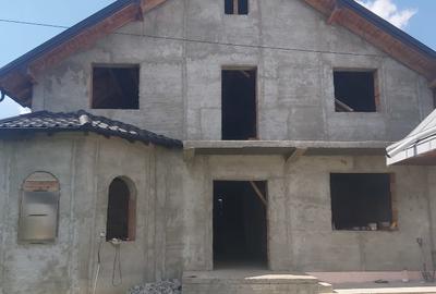 Constructie P+M la rosu in Catamaresti Deal, Botosani - 5