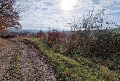 Teren de vânzare in Groși, Maramureș, 55 ari - 8