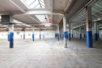 Inchiriere hale industriale lângă Brașov, Prejmer, Lunca Calnicului - 5