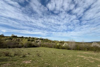 Teren intravilan 500 mp sau 1000 mp în Bran –Tohanita cu parau langa - 5