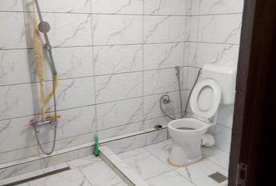 Casa individuala de vanzare-Fundeni - 40