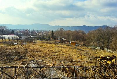 Teren in Cornu de Jos cu priveliste neopturata , inclinatie mica , 2823Mp - 1