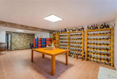 FILM! Resedinta cu identitate arhitecturala, 700mp teren, garaj 4X, Tractorul, B - 8