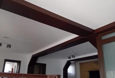 Vila moderna si spatioasa, constructie 2015, zona Mosilor - 20