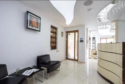 Vilă Modernă Premium cu Curte | Lacul Tei | Ideală Rezidențial sau Birou - 6